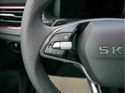 Skoda Kamiq 1.5 TSi 150 DSG Monte Carlo (2026) - Foto 12