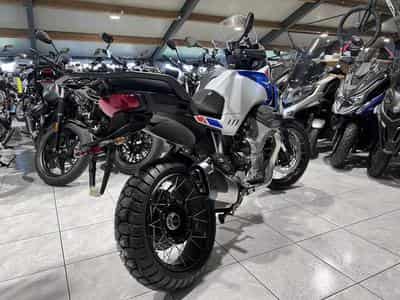 Moto Guzzi Stelvio PFF Rider Assistance Solution 1000  Duecento Tributo (2026) - Foto 3