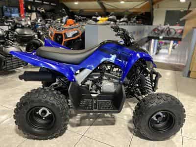 Yamaha YFM 110 R (2026) - Foto 1