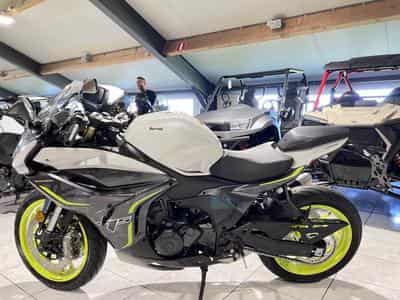 Benelli Tornado 550 (2026) - Foto 4