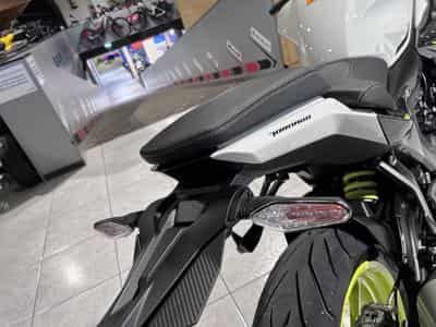 Benelli Tornado 550 (2026) - Foto 5