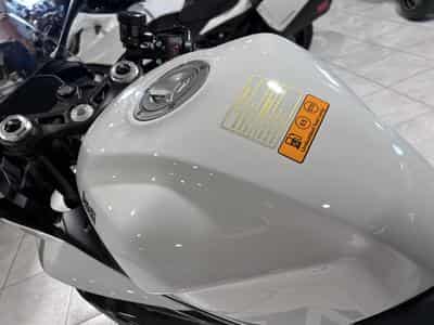 Benelli Tornado 550 (2026) - Foto 6