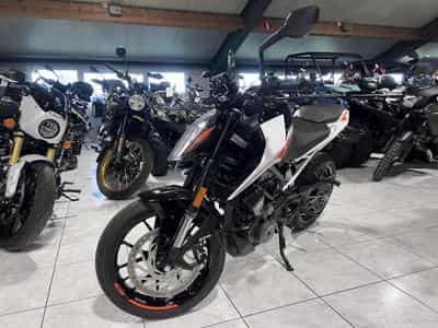 KTM 390 Duke (2022) - Foto 2