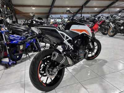 KTM 390 Duke (2022) - Foto 3