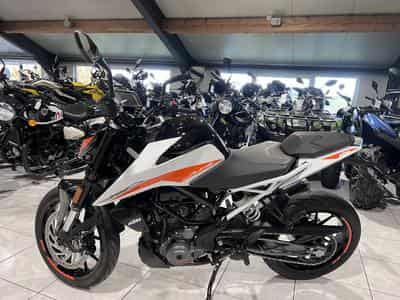 KTM 390 Duke (2022) - Foto 4
