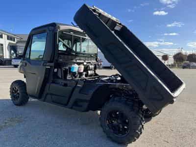 BRP Can-Am Traxter MY25 PRO DPS HD10 T1b + 60km/h vert prix sans accessoires (2026) - Foto 5