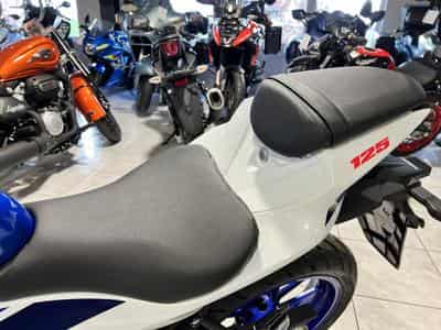 Suzuki GSXR (2026) - Photo 6