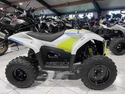 CF Moto CForce EV 110 (2026) - Photo 1