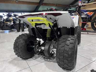 CF Moto CForce EV 110 (2026) - Photo 3