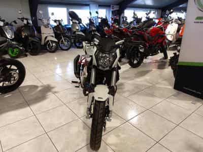 Benelli BN BLANC (2026) - Photo 2