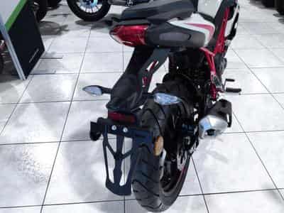 Benelli BN BLANC (2026) - Photo 3