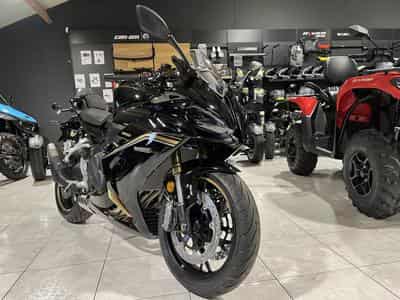 QJmotor SRK 800 RR (2026) - Photo 8