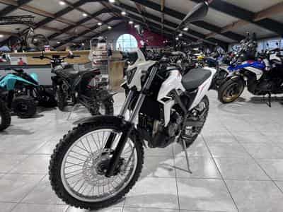 Beta Alp 4.0 (2026) - Photo 2