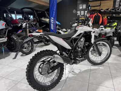 Beta Alp 4.0 (2026) - Photo 3