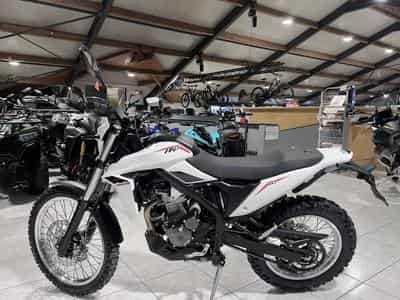 Beta Alp 4.0 (2026) - Photo 4