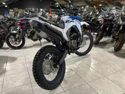 Voge 300 Rally (2026) - Photo 3