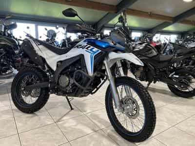 Voge 300 Rally (2026) - Photo 7