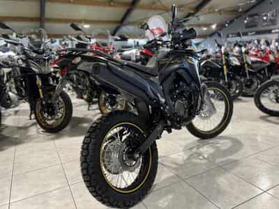 Voge 300 Rally (2026) - Photo 3