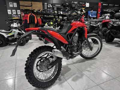 Beta Alp 4.0 (2026) - Photo 3