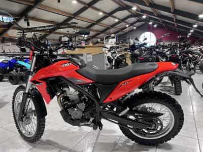 Beta Alp 4.0 (2026) - Photo 4