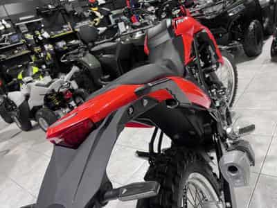 Beta Alp 4.0 (2026) - Photo 5