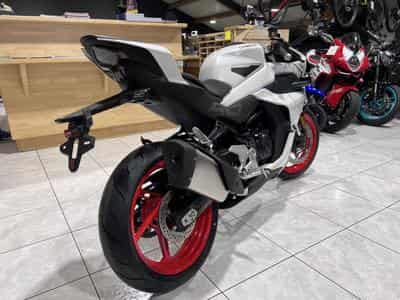 CF Moto SR TC (2025) - Photo 3