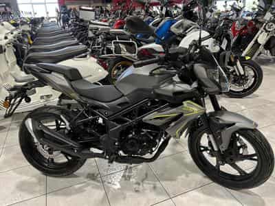 Benelli BN GRIS (2026) - Photo 1