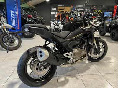 QJmotor SRK 550 (2026) - Foto 5