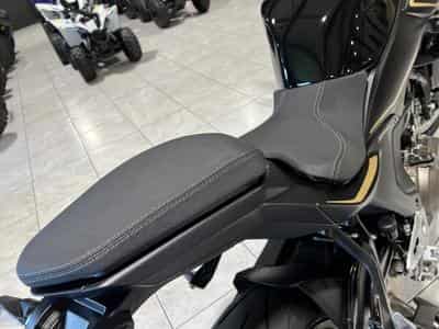 QJmotor SRK 550 (2026) - Foto 7