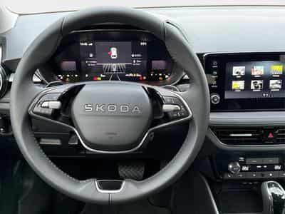 Skoda Fabia Top Selection (2025) - Photo 8