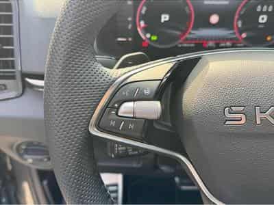 Skoda Karoq (2025) - Photo 11