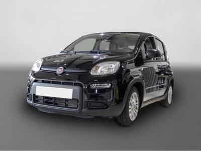 Fiat Panda (2024) - Photo 1