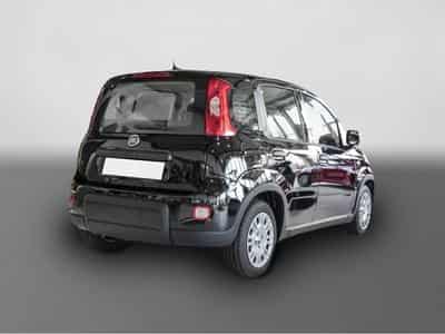 Fiat Panda (2024) - Photo 2