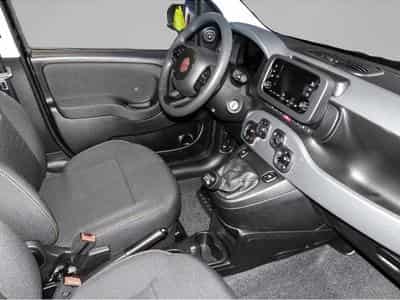 Fiat Panda (2024) - Photo 3
