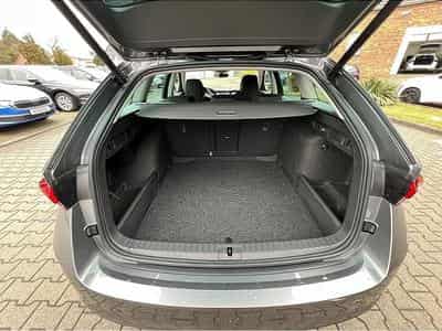 Skoda Octavia (2026) - Photo 4