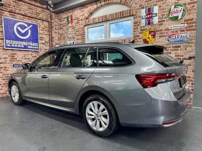 Skoda Octavia Octavia Combi 2.0 TDi 150cv Auto SELECTION (2024) - Foto 2