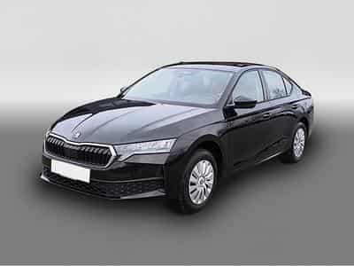 Skoda Octavia (2026) - Photo 1