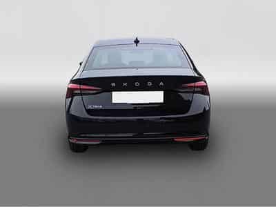 Skoda Octavia (2026) - Photo 6