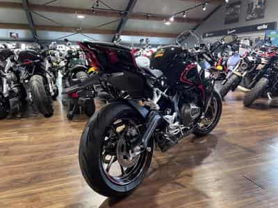 QJmotor SRK 421 RR (2026) - Foto 3