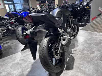 Yamaha MT03 (2026) - Photo 3