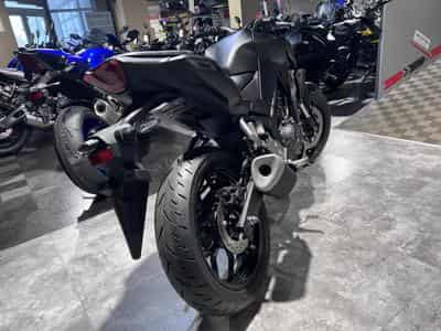 Yamaha MT03 (2026) - Photo 4