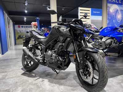 Yamaha MT03 (2026) - Photo 8