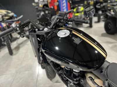 Benda Napoleon 500 (2026) - Photo 6