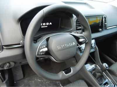 Skoda Karoq (2026) - Foto 6