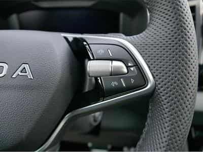 Skoda Karoq (2026) - Foto 13