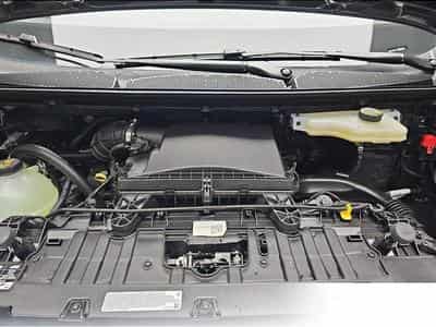 Ford Transit (2026) - Photo 14