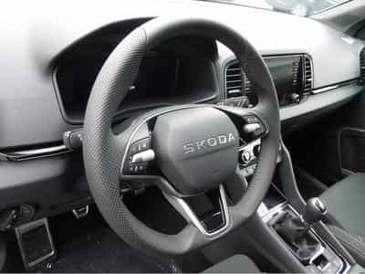 Skoda Karoq (2026) - Foto 6