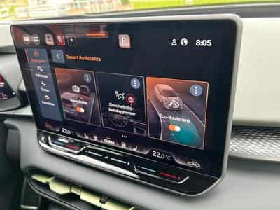 Cupra Terramar Tribe Edition (2026) - Photo 12