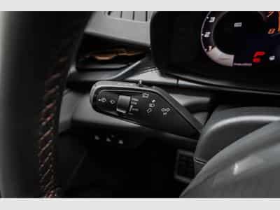 Cupra Terramar 2,0 TSI DSG (2025) - Photo 9