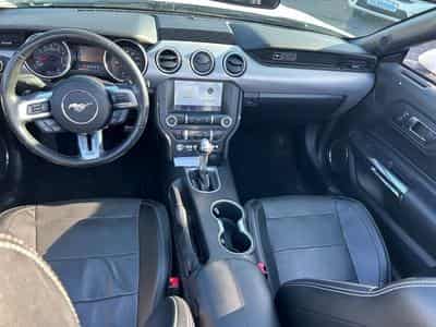 Ford Mustang Mustang Cabrio 2.3 *Autom.*Kamera*Euro6* (2020) - Photo 10